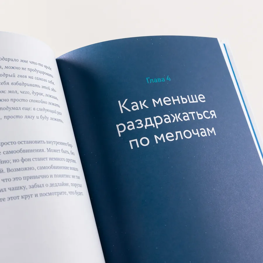 Меня всё бесит! (Tout m’énerve ! — titre original russe) — photo 5